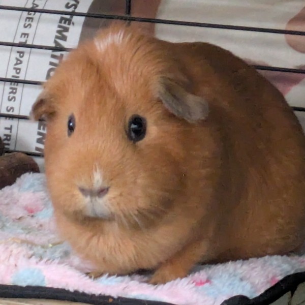 Photo de Kiyo