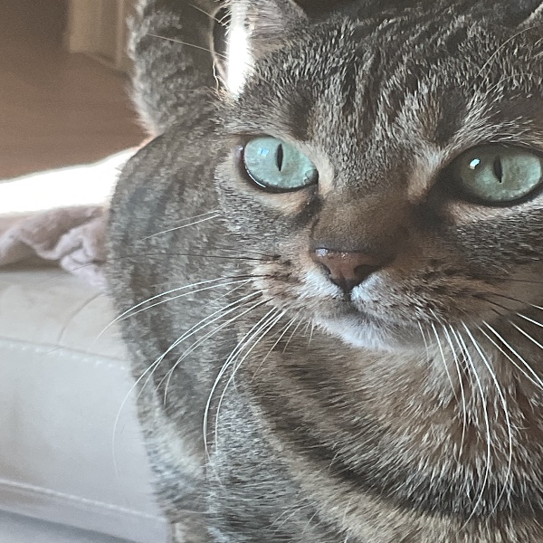 Kira