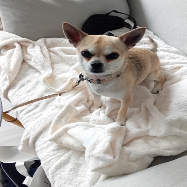 Yuki