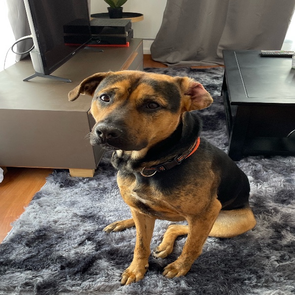 Pablo