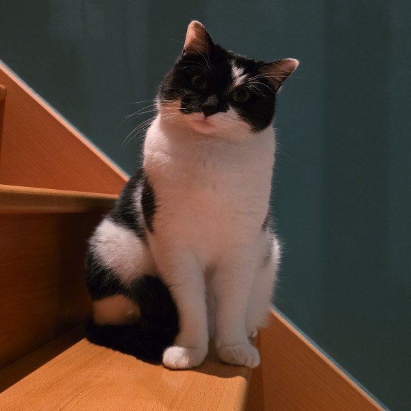 Photo de Nahla
