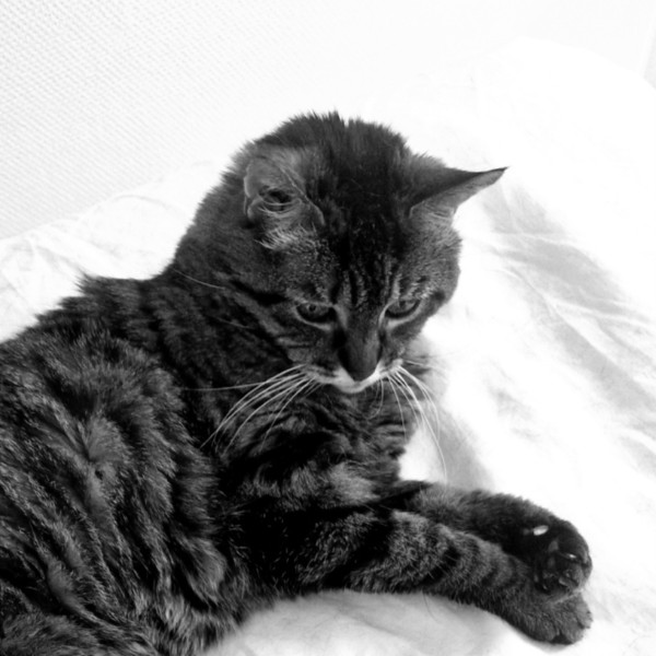 Photo de Cassiopée