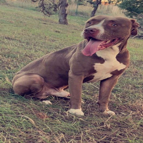 Paco