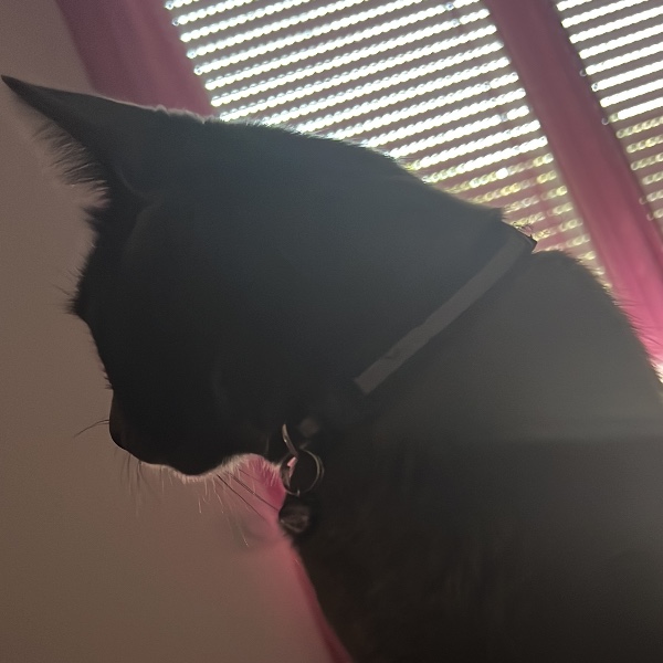 Photo de Bébé