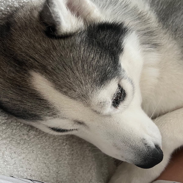 Photo de Reïko