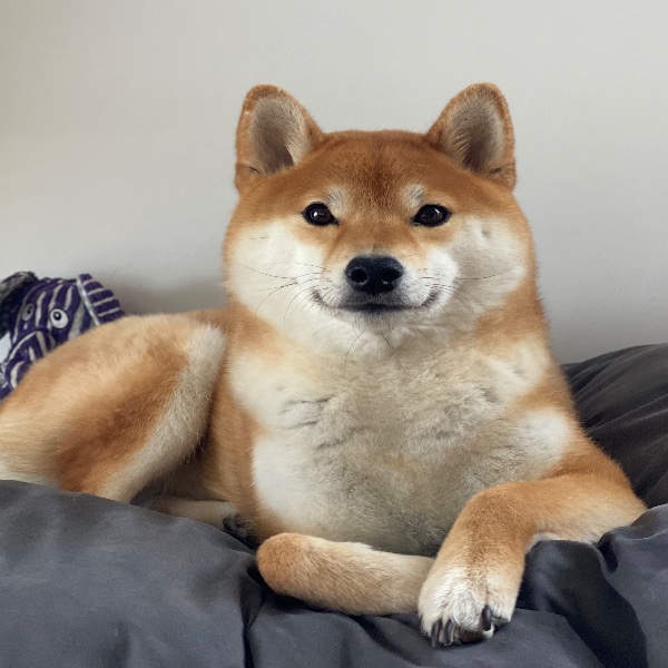 Tika