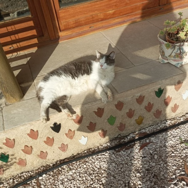 Photo de Praline