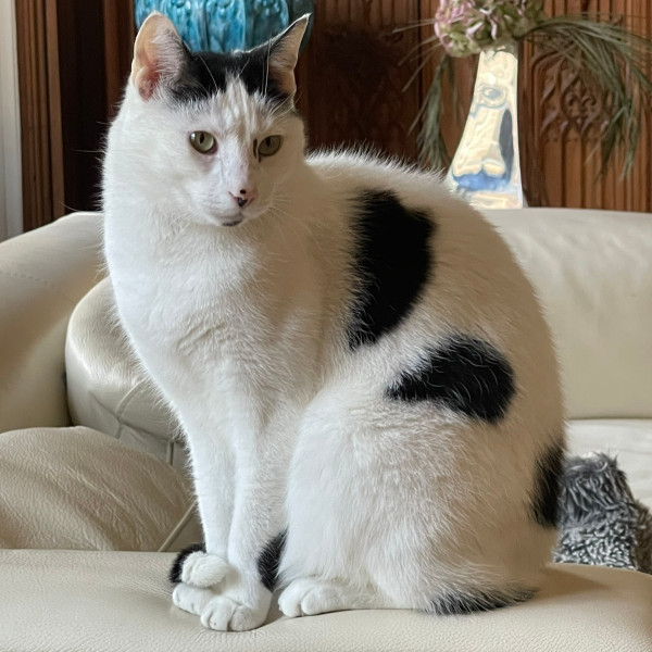 Photo de Jojo