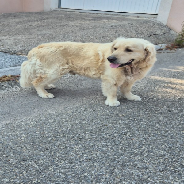 Photo de Mao