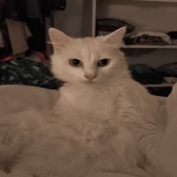 Shiro