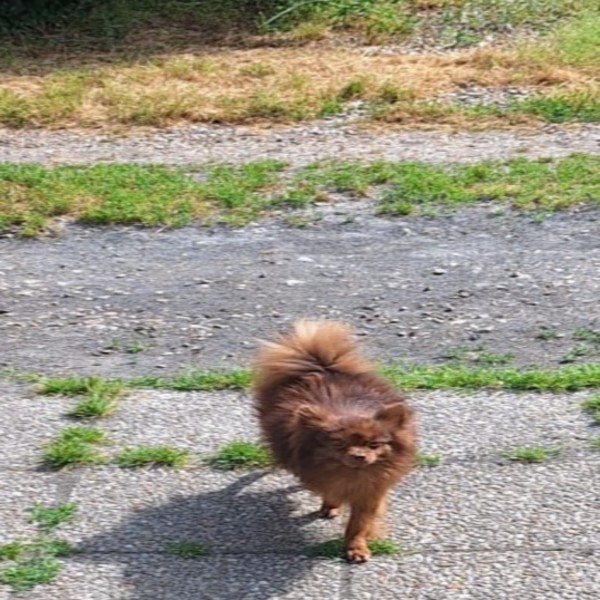 Photo de Nuts
