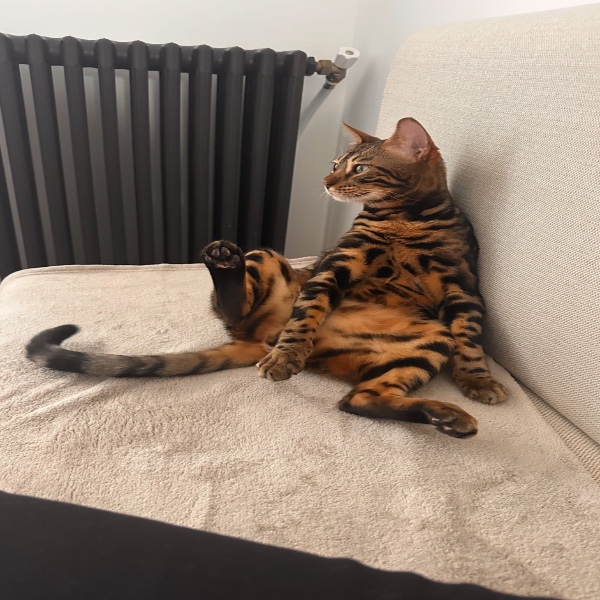 Photo de Zephyr