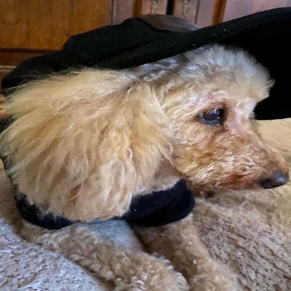 Photo de Eddie
