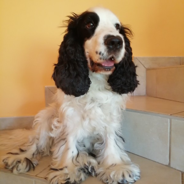 LULU