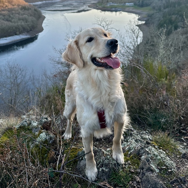 ulka