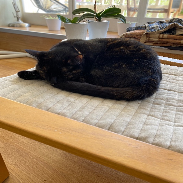 Photo de Hécate