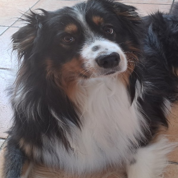 Yuki
