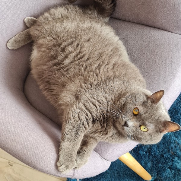 Luna