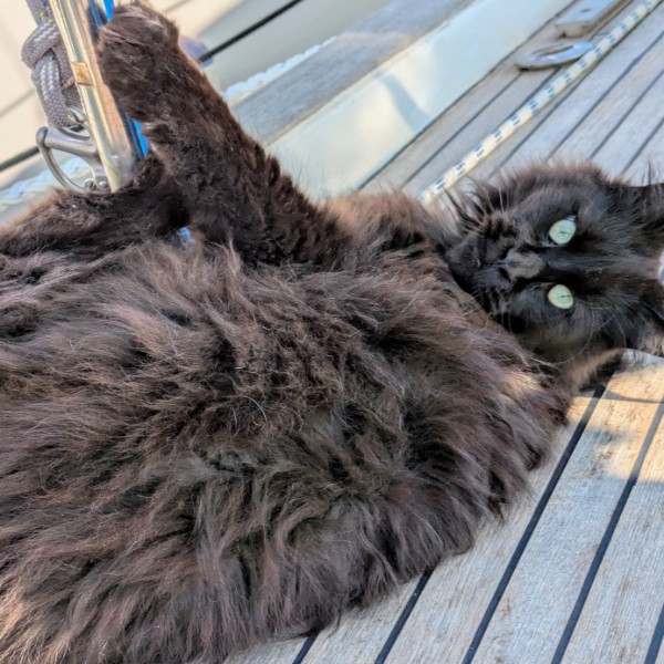 Photo de Mooki
