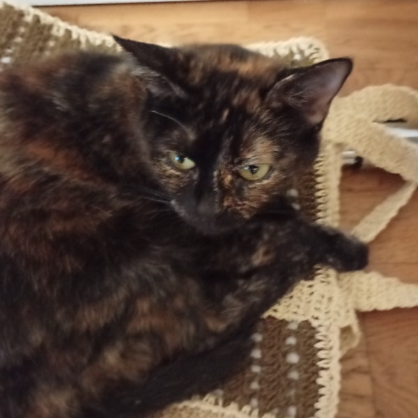 Mimi