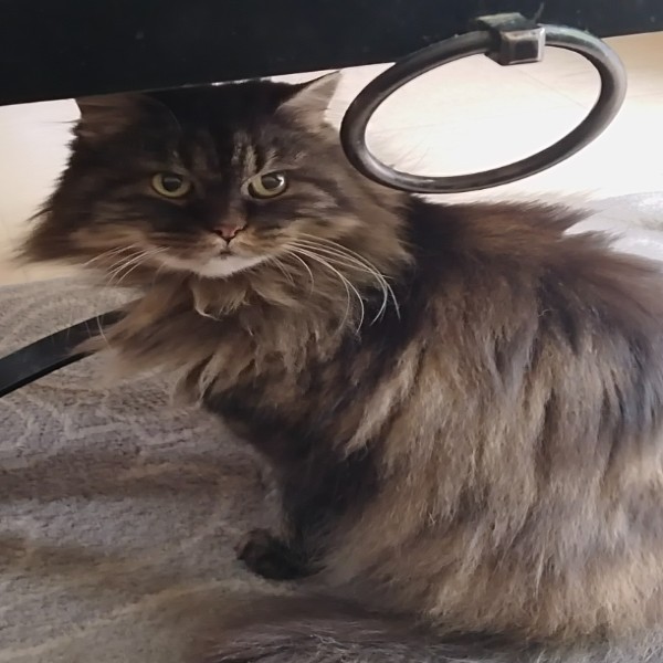 Louna