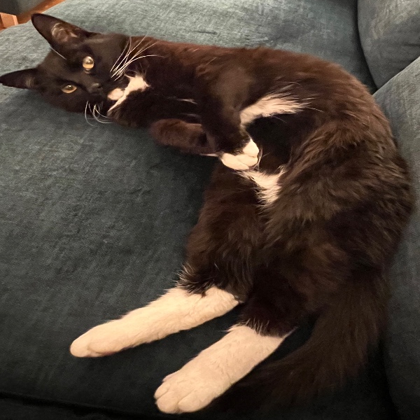 Photo de Mikette