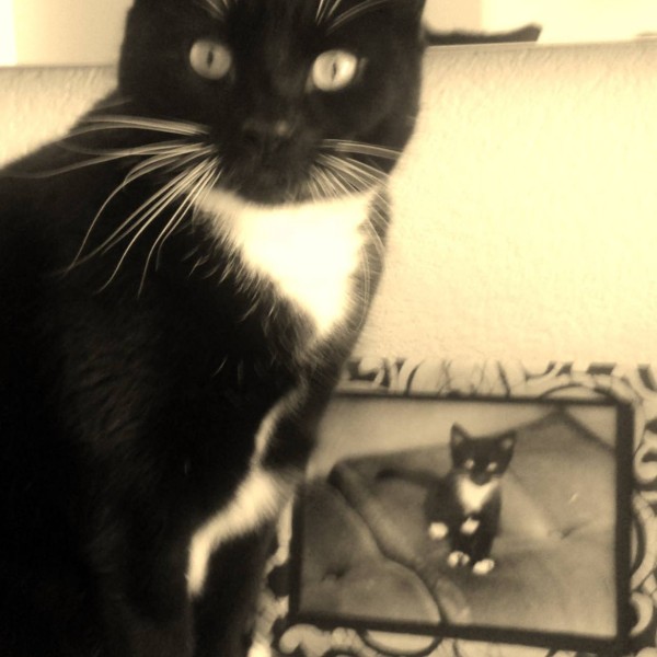 Photo de Mitzy