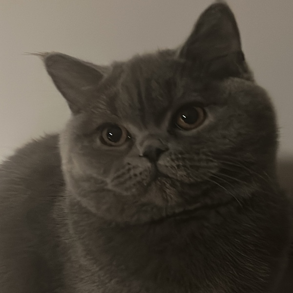 Lilou