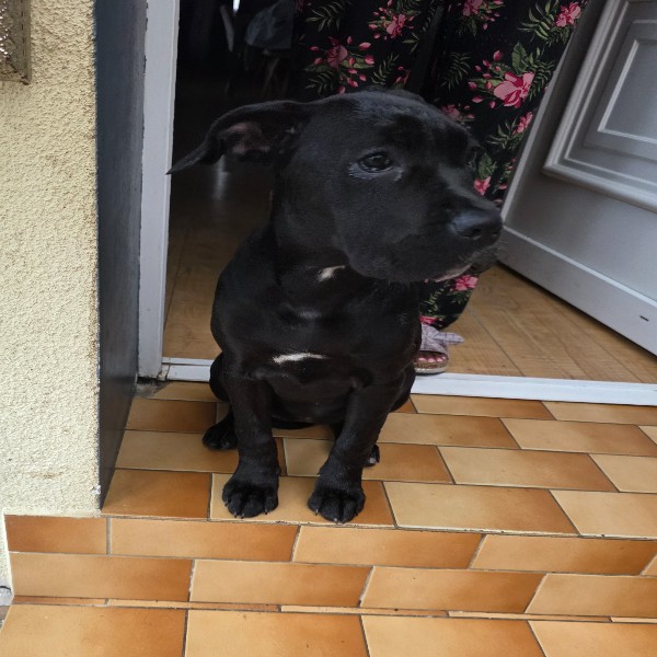 Photo de Roxy