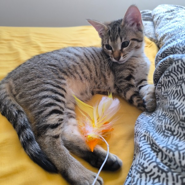 Photo de Lumi