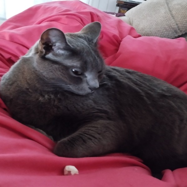Freya