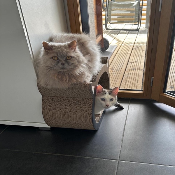 Photo de Miss Poppy