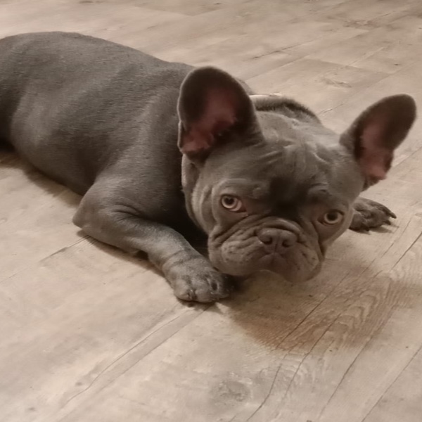 Photo de Ümy