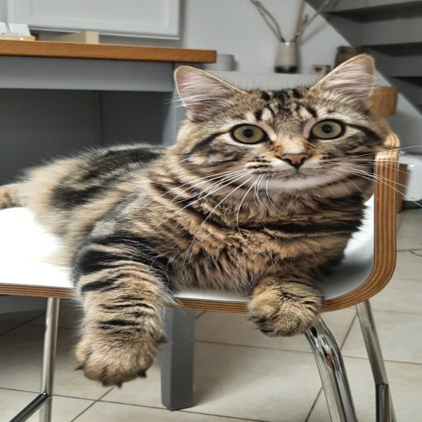 Photo de Naru