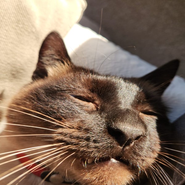 Photo de Minos