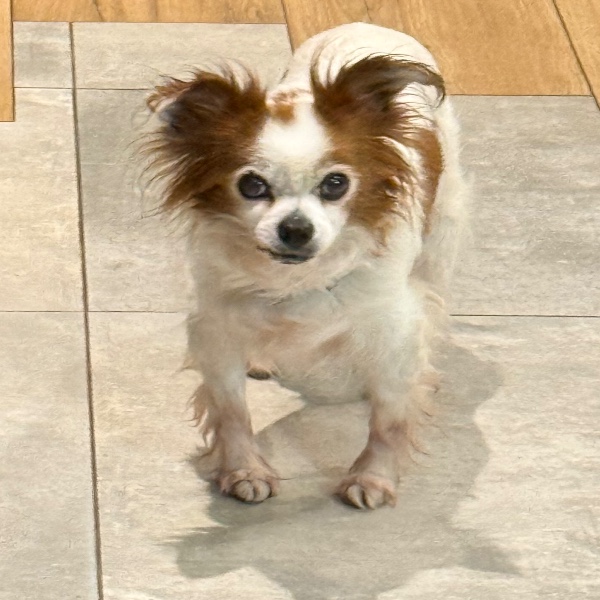 Fenny