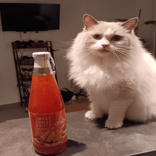 BB