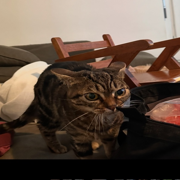 Mia