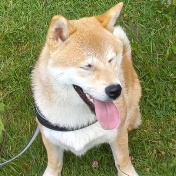 Yuki