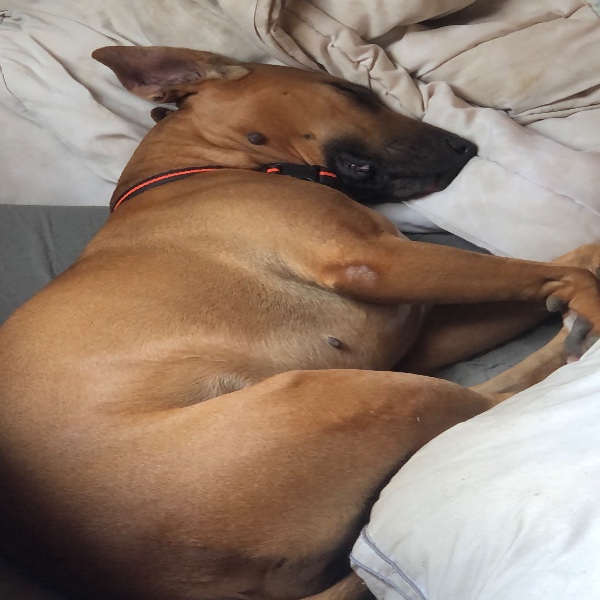 Mia