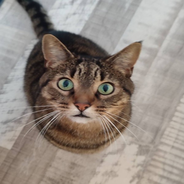 Photo de Titi
