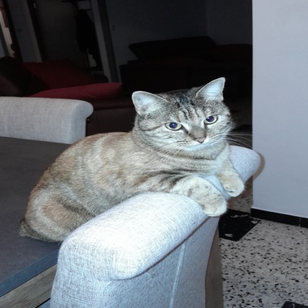 Photo de Valentine