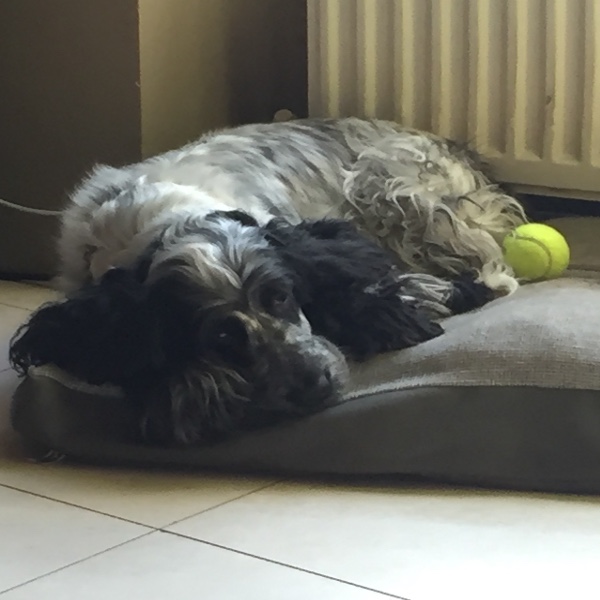 Photo de Juliette