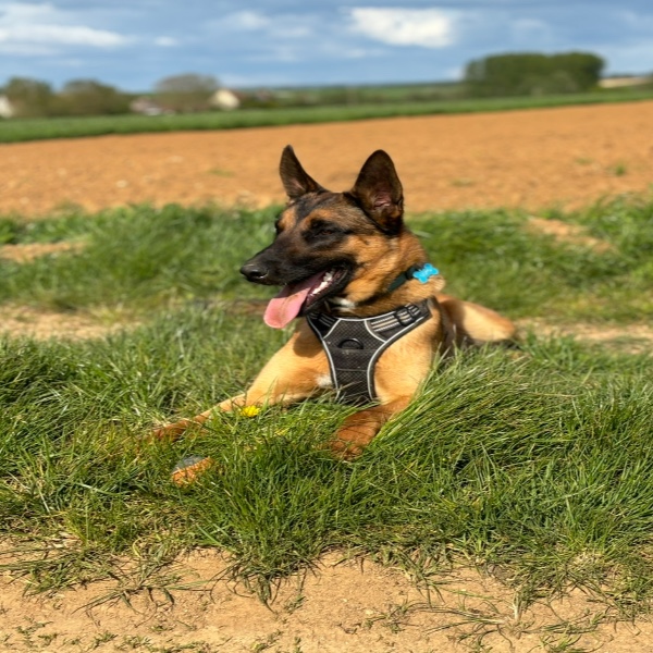Usko