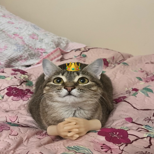 Uzzy