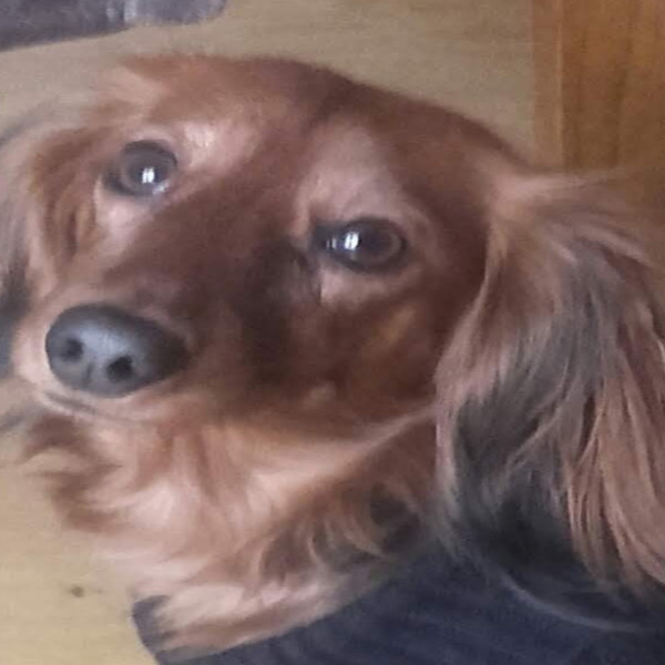 Photo de Fleur