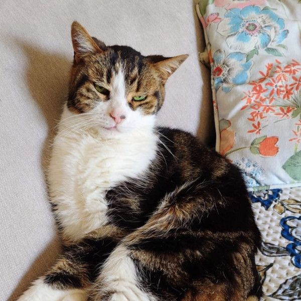 Photo de EROS
