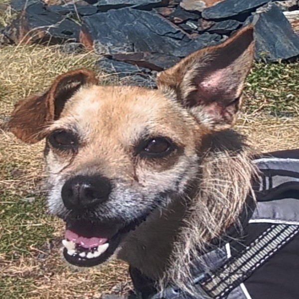 Photo de Leeloo