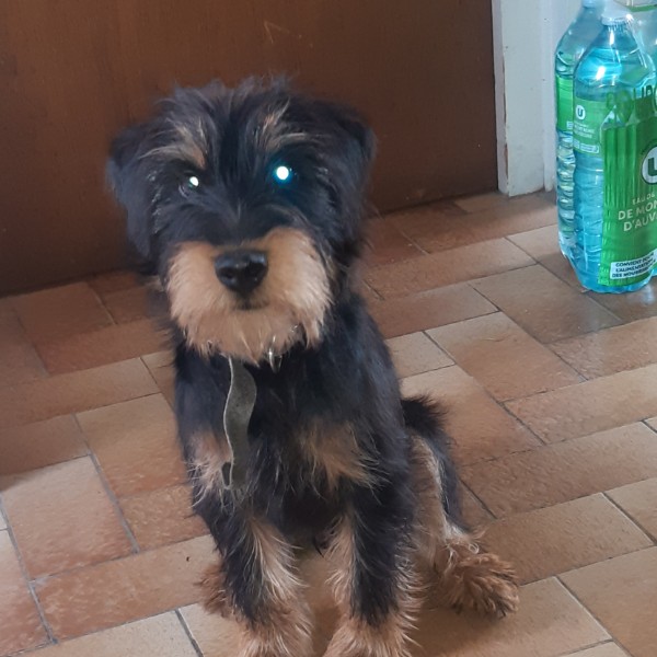 Photo de VLAD(imir)