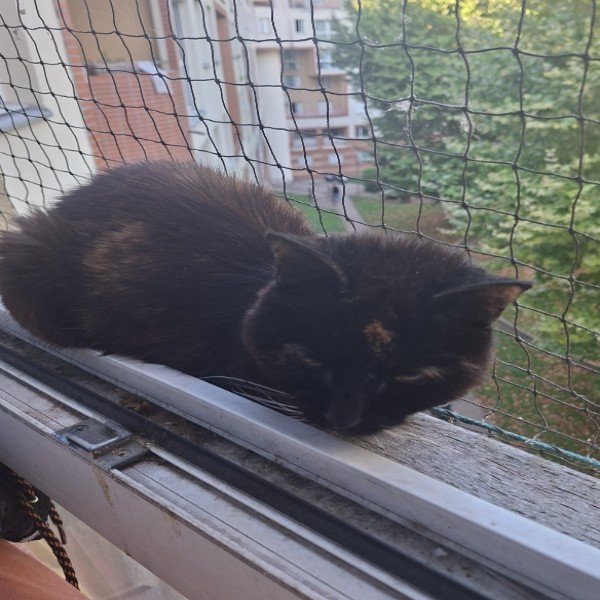 Photo de Finette